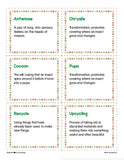 Litter Bugs! - Earth Day Craft Activity